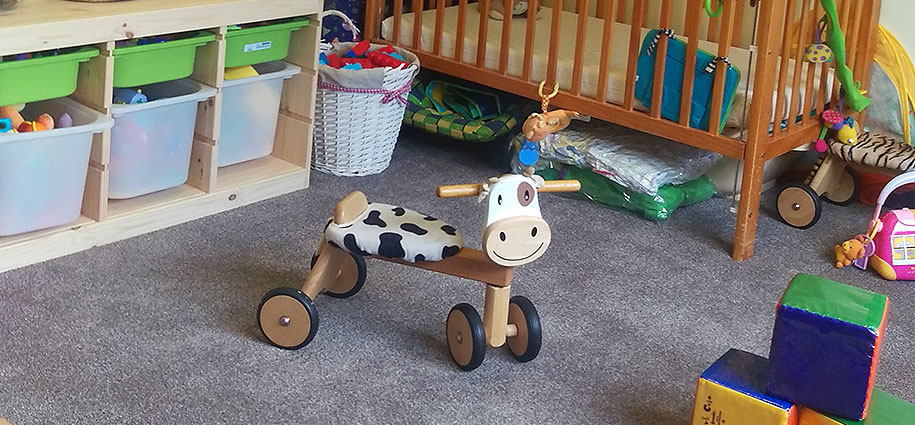 Cow scooter and cot